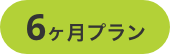 6ヵ月プラン