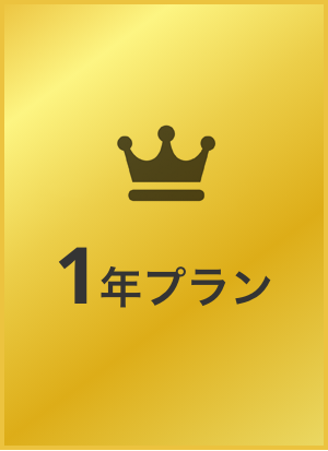 1年プラン